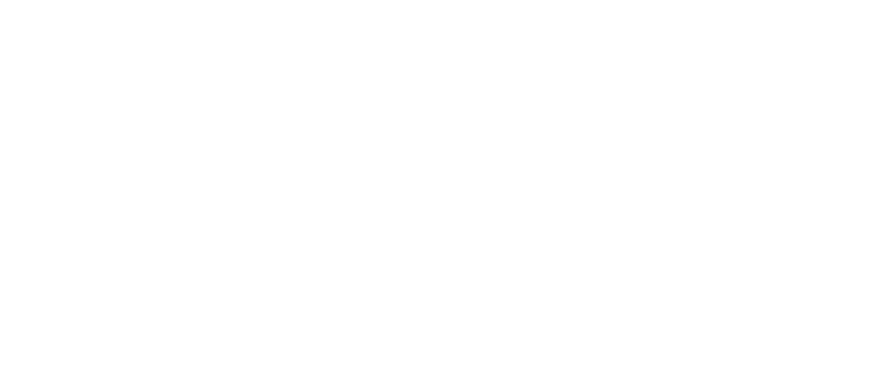 bioXcape лого